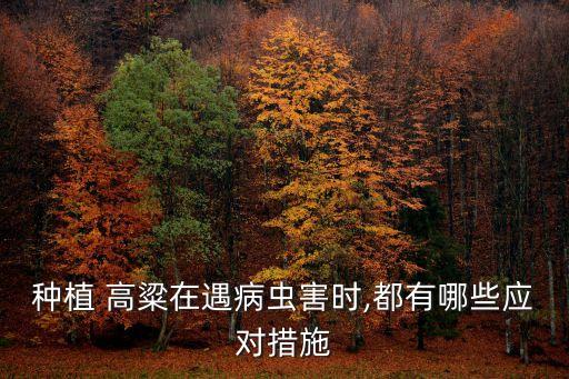 種植 高粱在遇病蟲害時,都有哪些應對措施