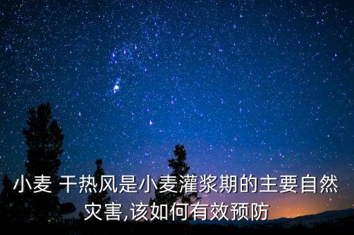 什么農藥能防干熱風