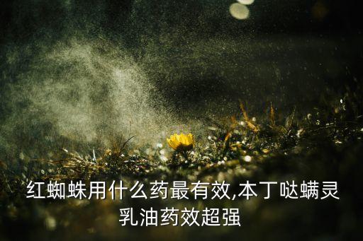  紅蜘蛛用什么藥最有效,本丁噠螨靈乳油藥效超強(qiáng)