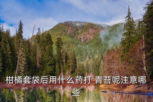 柑橘套袋后用什么藥打 青苔呢注意哪些