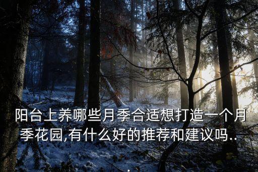  陽臺上養哪些月季合適想打造一個月季花園,有什么好的推薦和建議嗎...