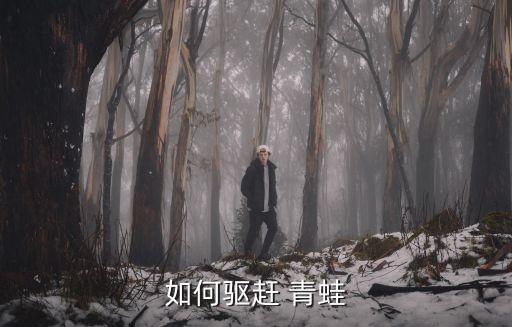 如何驅(qū)趕 青蛙