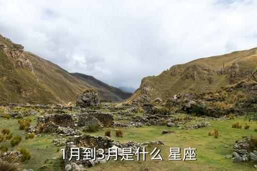 農藥的三號什么星座