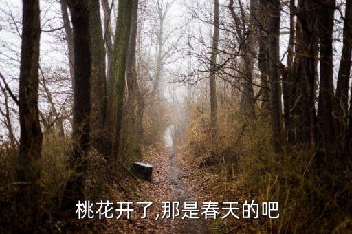 桃花開了,那是春天的吧