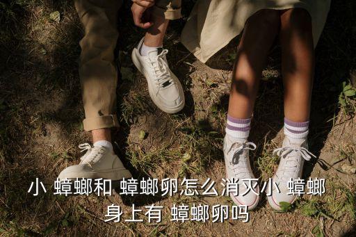 用什么農藥可以殺死蟑螂蟲卵,什么農藥能殺死蟑螂