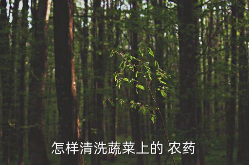 怎樣清洗蔬菜上的 農藥