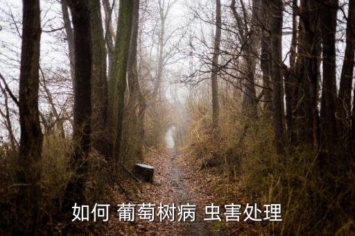 葡萄的蟲害防治用什么農藥