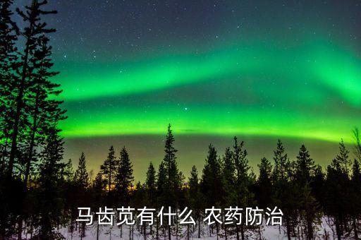 夜蘭要打什么農藥好點