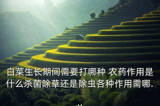 種菜時打什么農藥最好,種菜用什么農藥比較安全好