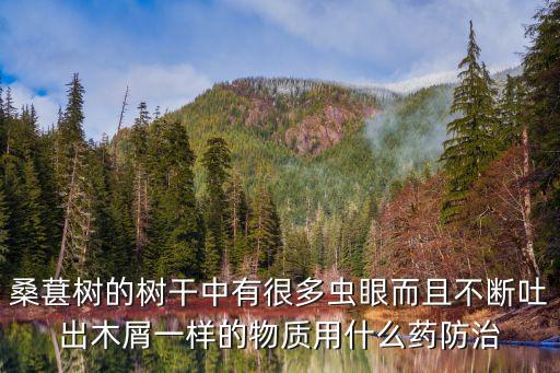 桑葚樹的樹干中有很多蟲眼而且不斷吐出木屑一樣的物質(zhì)用什么藥防治