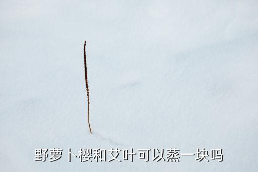 ,什么農藥能除艾蒿