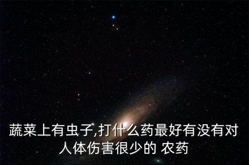 蔬菜上有蟲子,打什么藥最好有沒有對人體傷害很少的 農藥