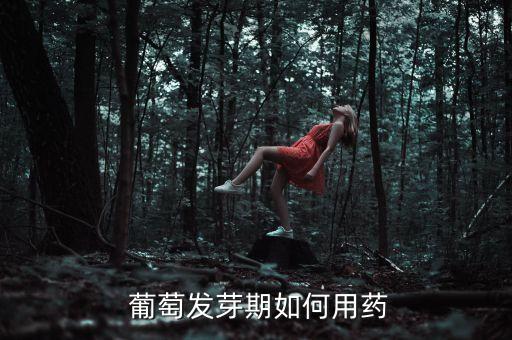  葡萄發芽期如何用藥