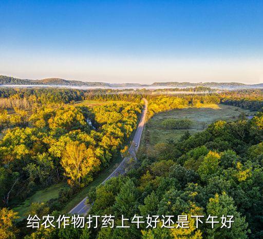 給農作物打藥上午好還是下午好