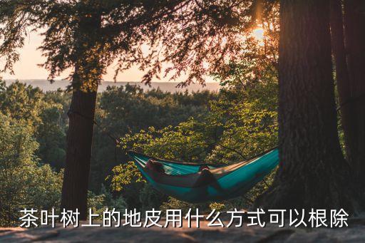 茶葉樹上的地皮用什么方式可以根除