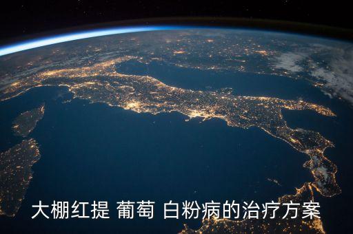 大棚紅提 葡萄 白粉病的治療方案