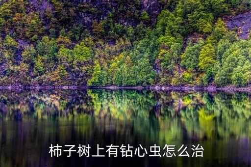 柿子樹防蟲用什么農藥