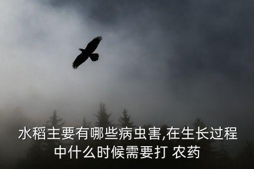  水稻主要有哪些病蟲害,在生長過程中什么時候需要打 農藥