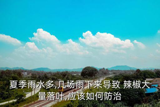 下雨后辣椒打什么農(nóng)藥,每天下雨對辣椒有什么影響