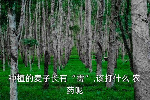 揚花期小麥噴灑什么農(nóng)藥,河南小麥揚花期在什么時間