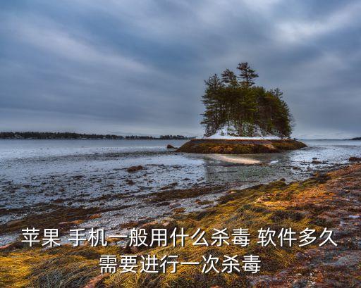 蘋果 手機一般用什么殺毒 軟件多久需要進行一次殺毒