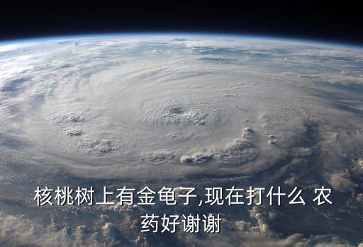 核桃打農藥用什么藥,核桃有沒有打農藥