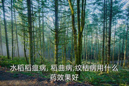 稻曲病用什么農藥,什么農藥防治稻曲病最好