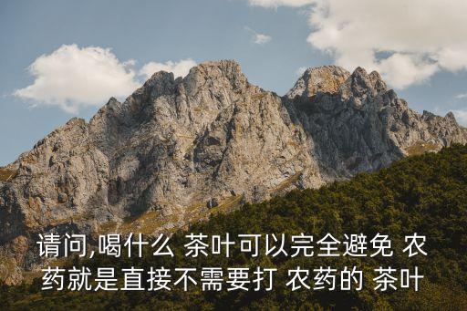 請問,喝什么 茶葉可以完全避免 農(nóng)藥就是直接不需要打 農(nóng)藥的 茶葉
