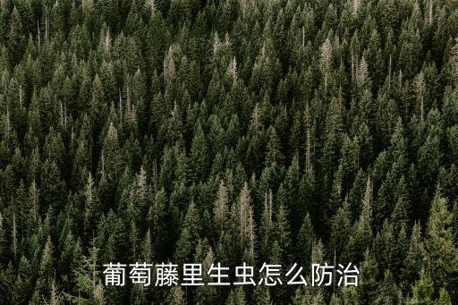 治葡萄白粉病什么農(nóng)藥好,葡萄白粉病用什么藥