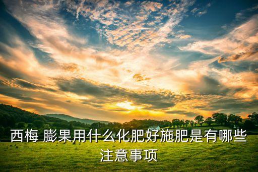 西梅 膨果用什么化肥好施肥是有哪些注意事項