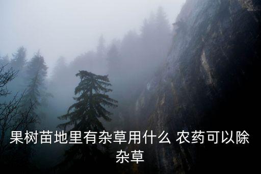 果樹苗地里有雜草用什么 農藥可以除雜草