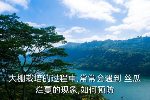 大棚栽培的過程中,常常會遇到 絲瓜爛蔓的現象,如何預防