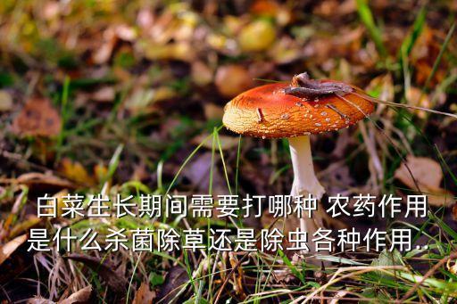 白菜生長(zhǎng)期間需要打哪種 農(nóng)藥作用是什么殺菌除草還是除蟲(chóng)各種作用...