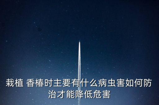 栽植 香椿時主要有什么病蟲害如何防治才能降低危害