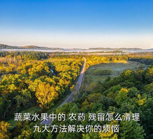 蔬菜水果中的 農(nóng)藥 殘留怎么清理九大方法解決你的煩惱