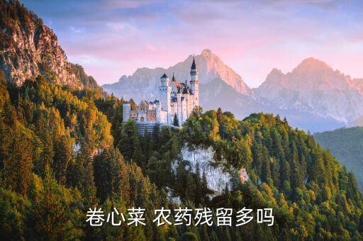 卷心菜 農藥殘留多嗎