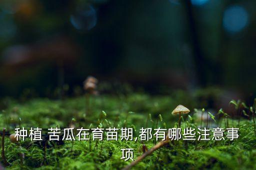 種苦瓜初期打什么農藥