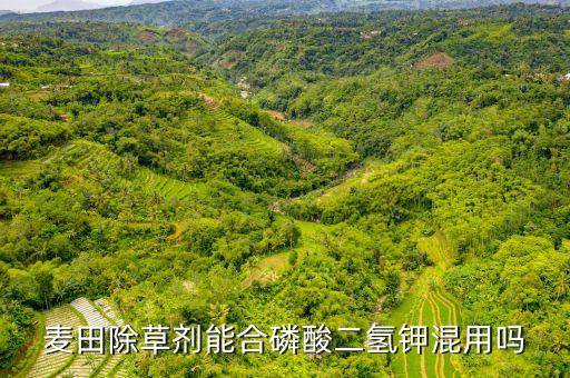 麥田除草劑能合磷酸二氫鉀混用嗎