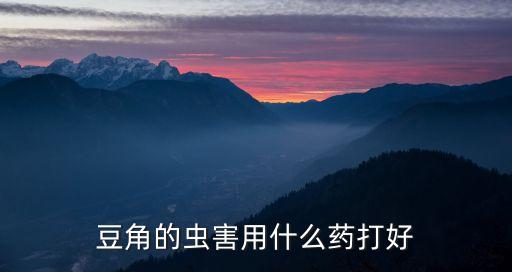 豆角的蟲害用什么藥打好