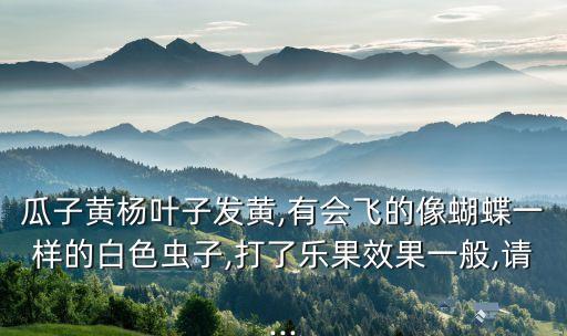 瓜子黃楊葉子發黃,有會飛的像蝴蝶一樣的白色蟲子,打了樂果效果一般,請...