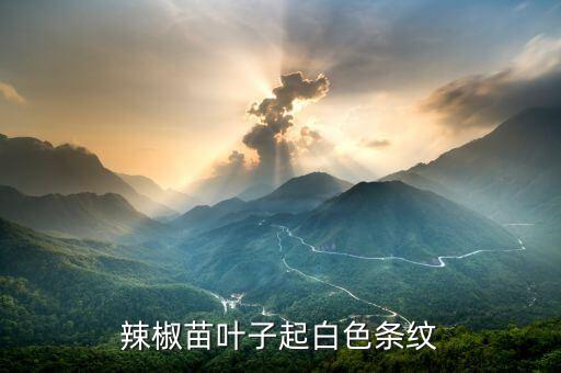 辣椒苗葉子起白色條紋