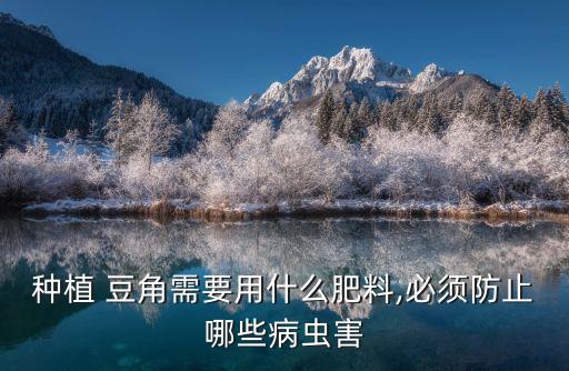 豆角主要打什么農藥,豆角花期忌用什么農藥