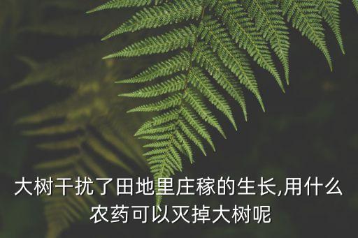 有什么農藥殺死樹木,什么農藥對樹木危害最大