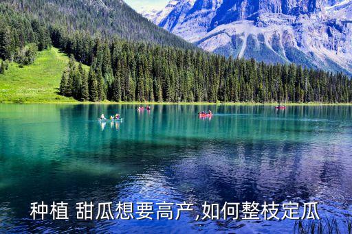 甜瓜前期打什么農藥,甜瓜噴花用什么農藥