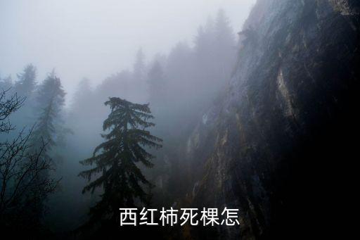 番茄死棵用什么農藥,番茄打什么農藥