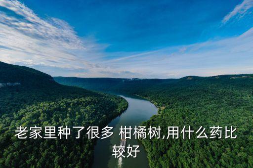 老家里種了很多 柑橘樹,用什么藥比較好