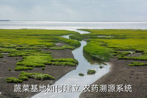 蔬菜基地如何建立 農藥溯源系統