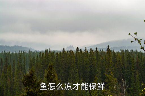 魚怎么凍才能保鮮