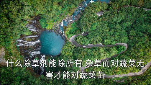 什么農藥能把雜草都殺死,滅雜草用什么農藥最好