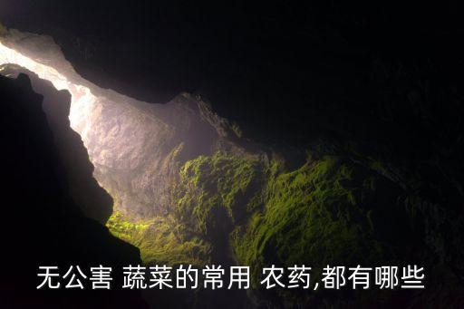 蔬菜低毒特效農藥是什么,防治蔬菜蚜蟲低毒農藥